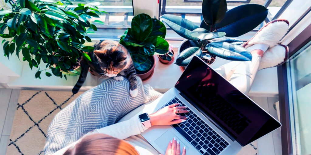 Remote Work and Joblessness: A New Era of Labor Market Balance
